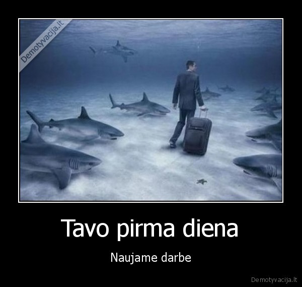 Tavo pirma diena