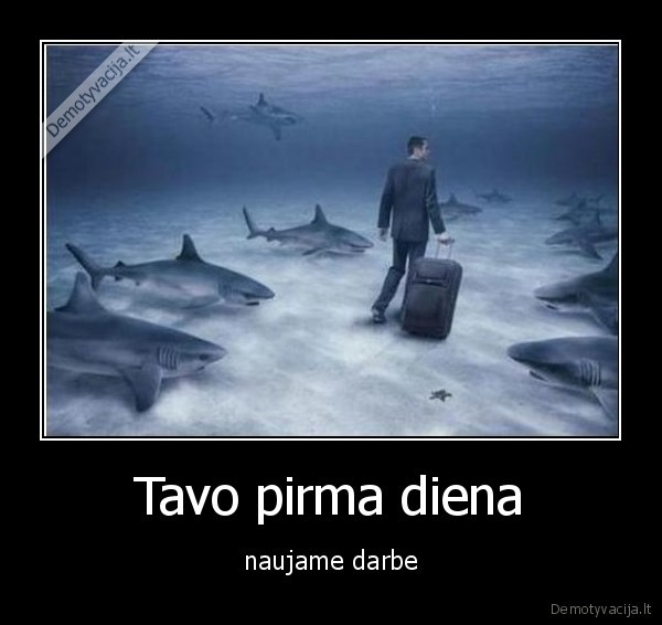 pirma, diena, darbe