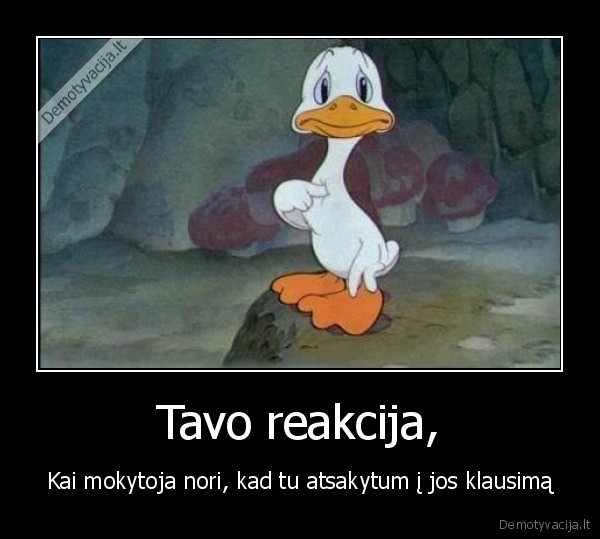 Tavo reakcija,