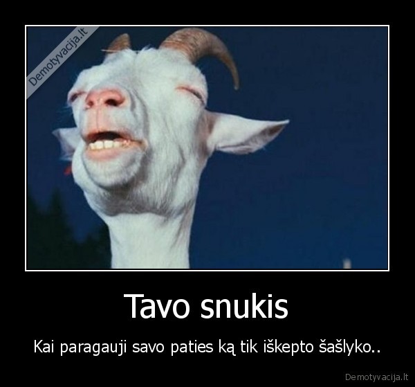 Tavo snukis
