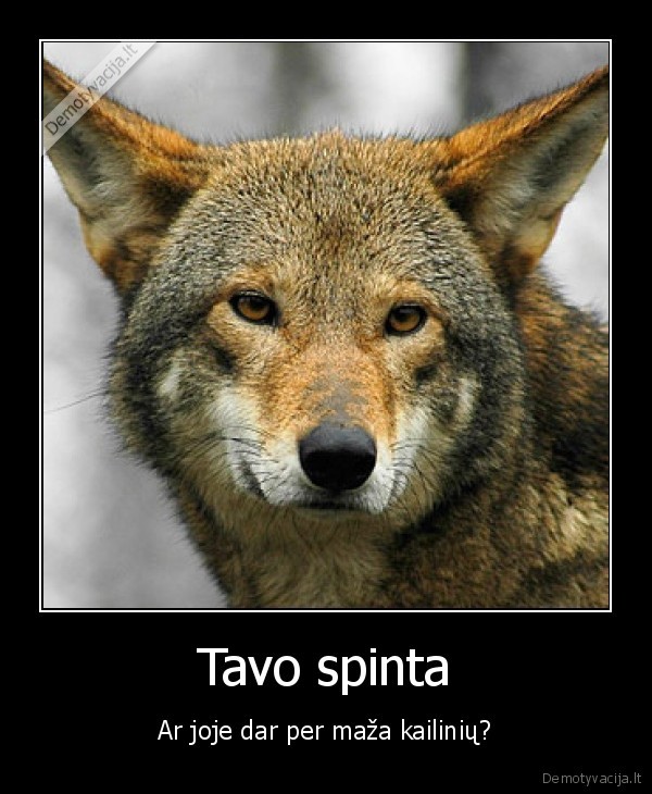 Tavo spinta