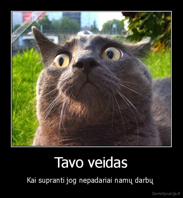 Tavo veidas