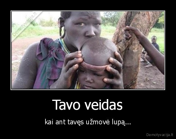 lupos,galva