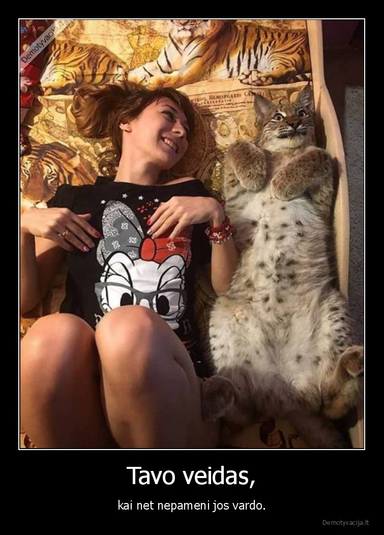 lusis,kate,katinas,mergina,vardas