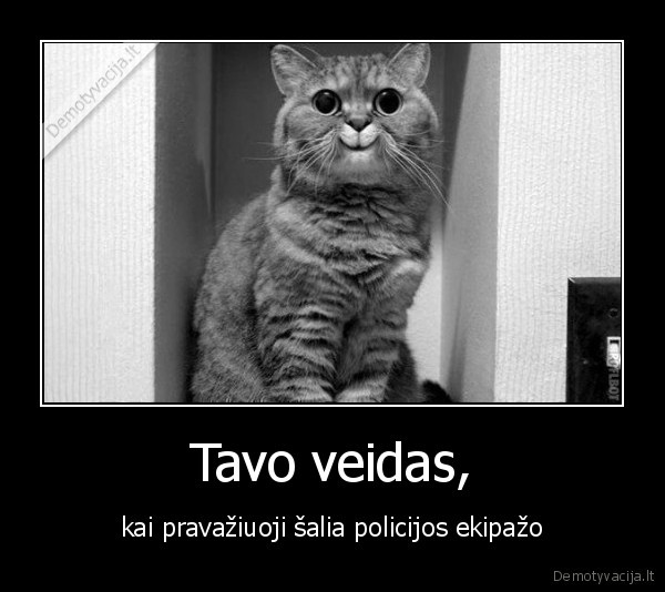 veidas,policija