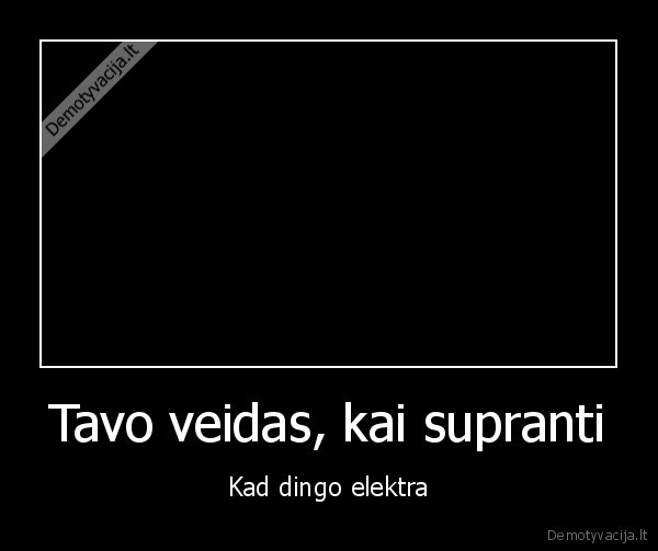 dingo, elektra,atjunge, elektra,tamsa
