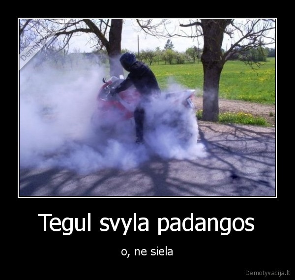 padangos