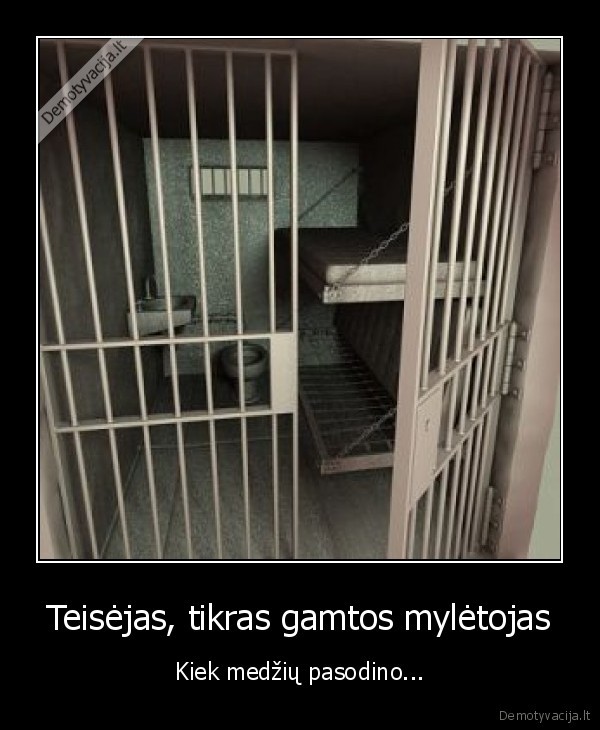 medi, pagavo,dabar, lai, sedi
