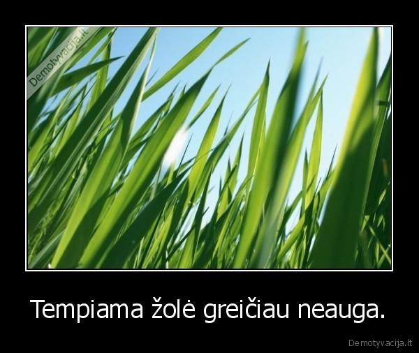 zole