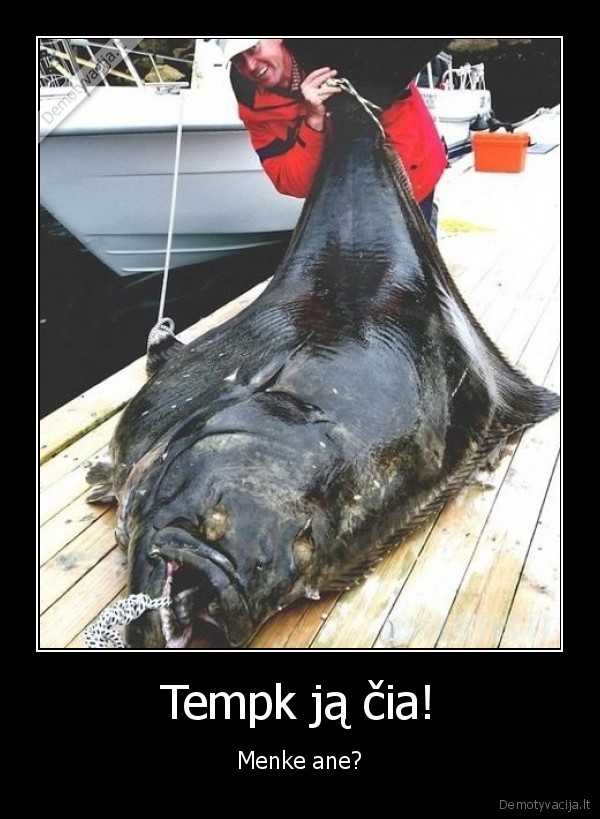 Tempk ją čia!
