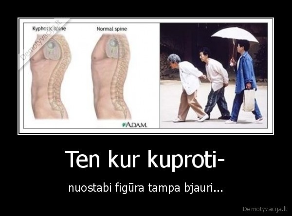 Ten kur kuproti-