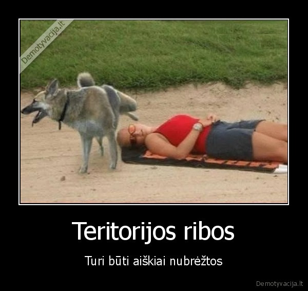 Teritorijos ribos