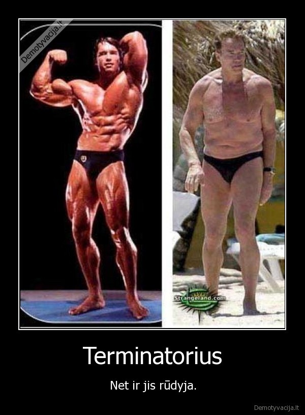 terminatorius