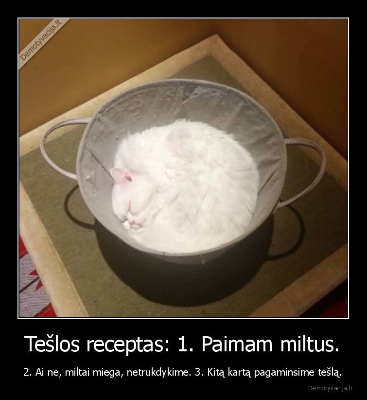 miltai,katinas,tesla