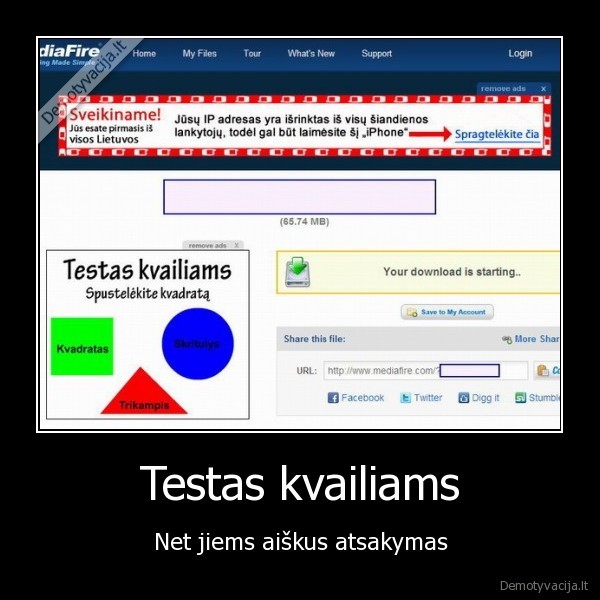 Testas kvailiams