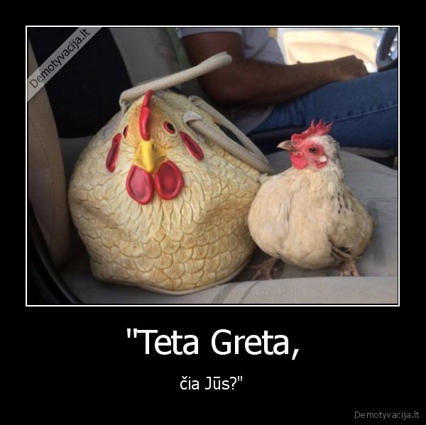 teta, greta,vista,rankine