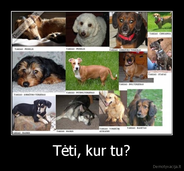 Tėti, kur tu?