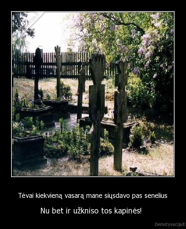 kapines,tevai,seneliai