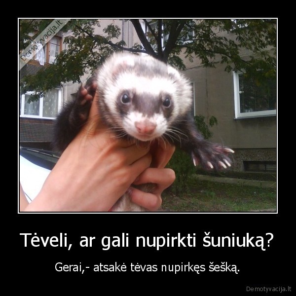 petriukas