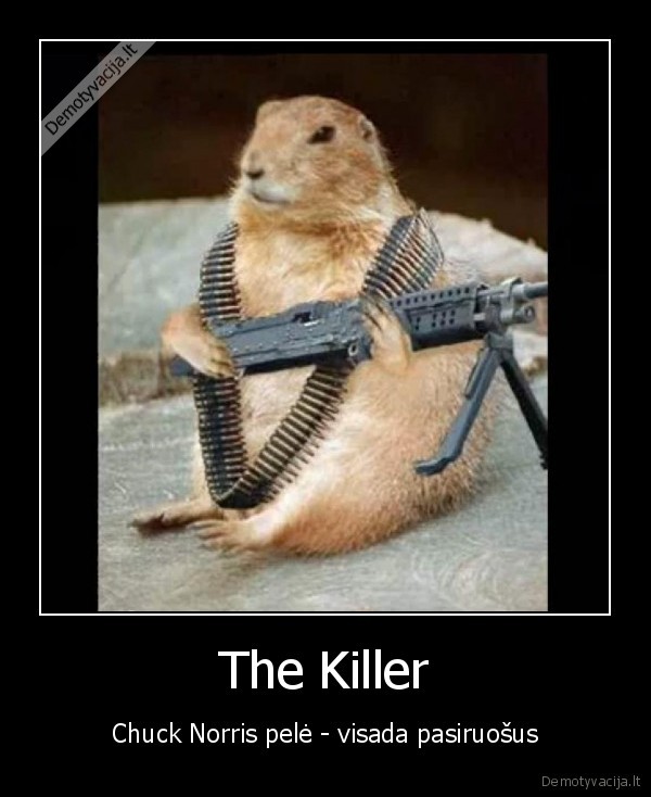 The Killer