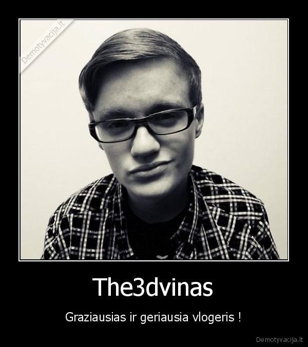 The3dvinas