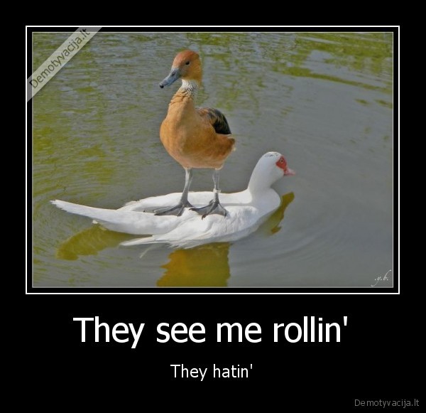 repas,zasys,antys,zasis,antis,rollin