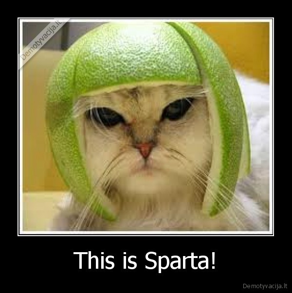 katinas,sparta