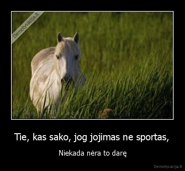 zirgas,jojimas,sportas