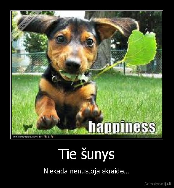 Tie šunys