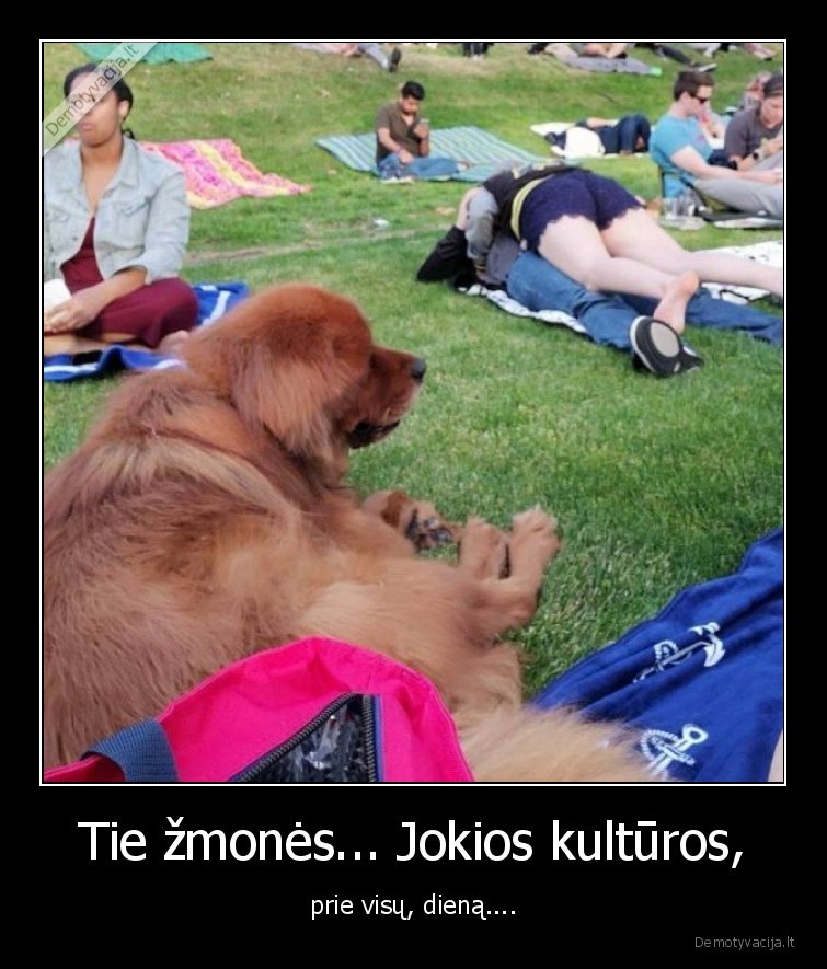 suo,kultura,prie,visu