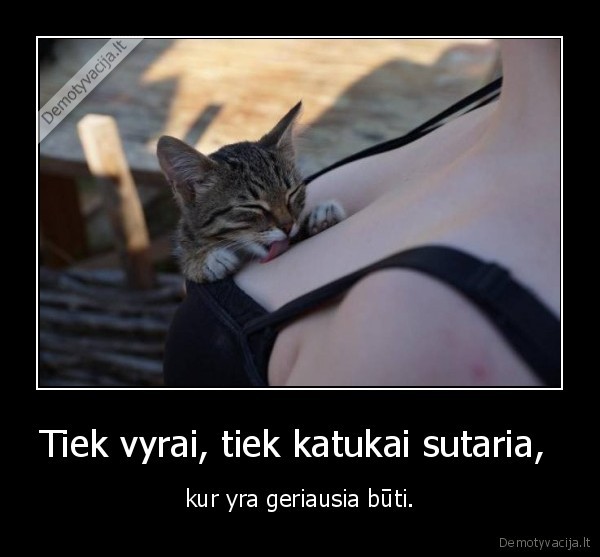 kate,katinas,kaciukas,mergina,papai