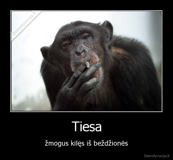 Tiesa
