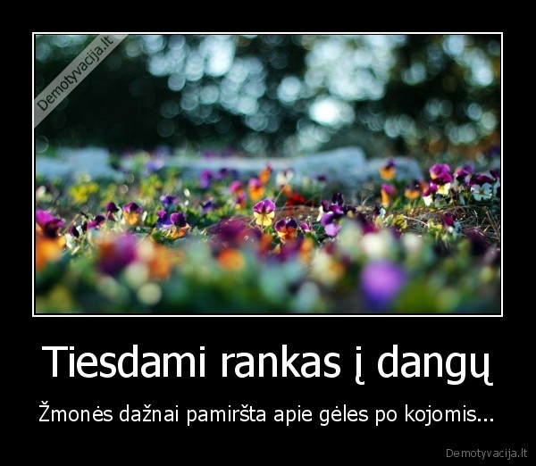 psichologija,siekiai,dangaus, siekimas
