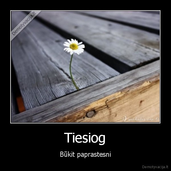 Tiesiog