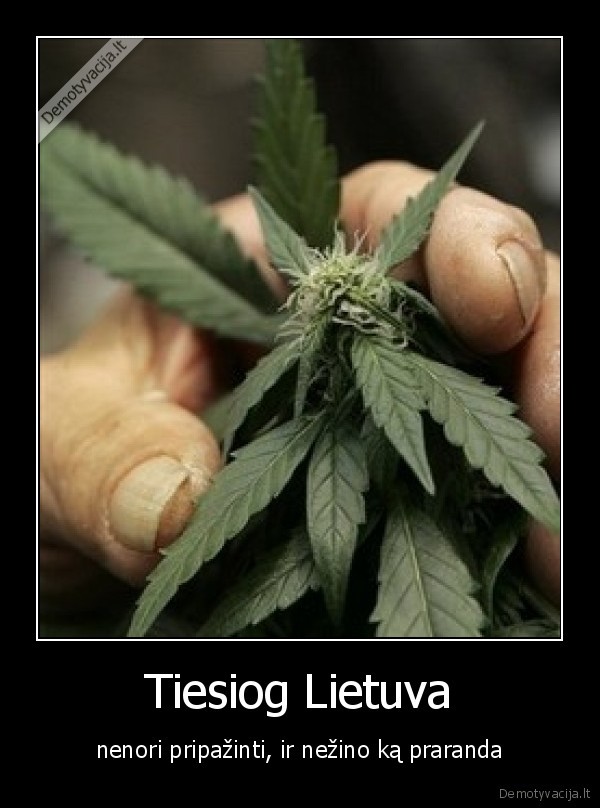 marijuana, legalization