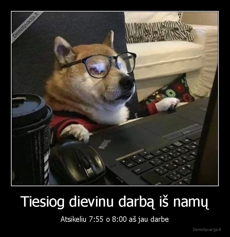 darbas,namai,keltis,anksti,karantinas