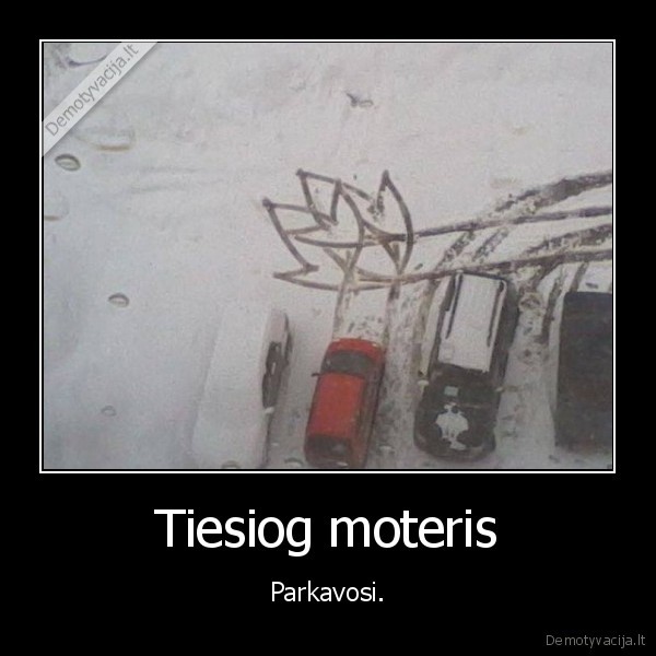 parkuotis,moterys
