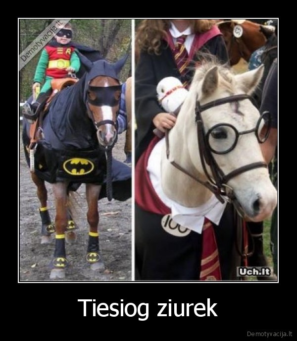 Tiesiog ziurek