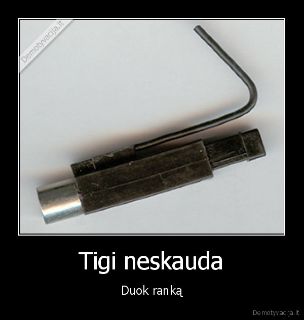 Tigi neskauda