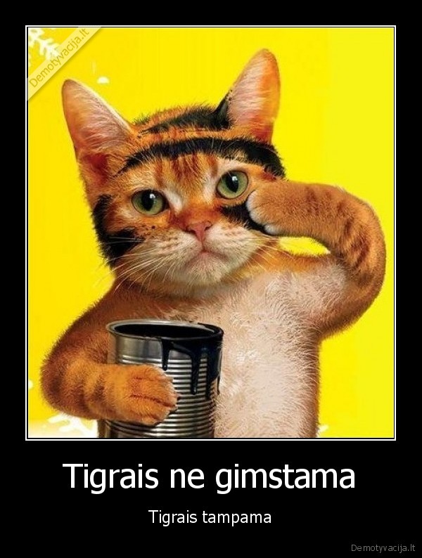 tigrai