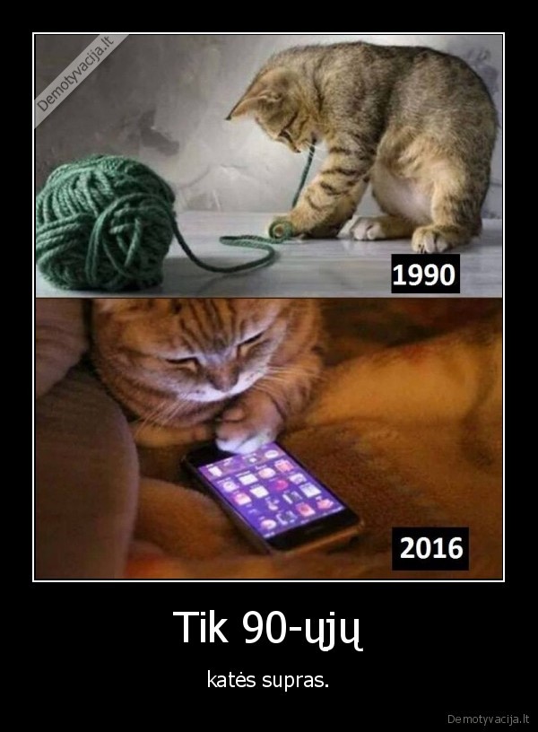 kate,katinas,siulu, kamuolys,siulai,telefonas