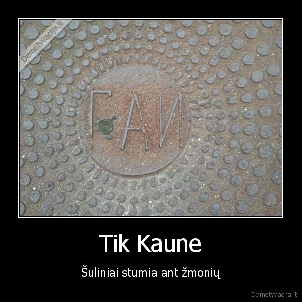 kaunas, sulinis, suliniai, dalius, world