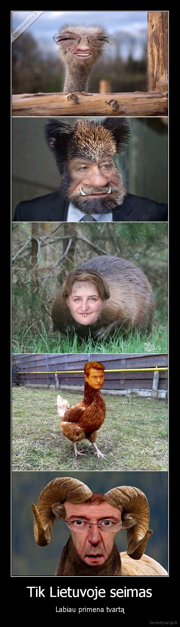 seimo, nariai,seimunai,tvartas