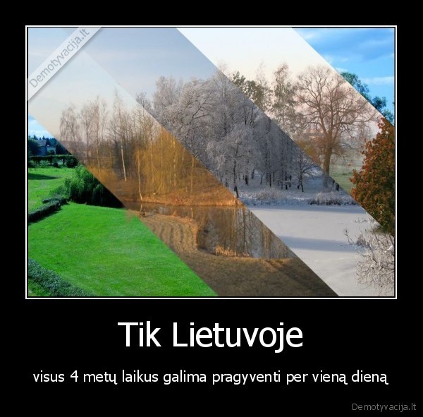 Tik Lietuvoje