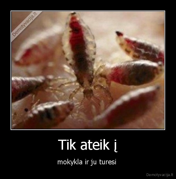Tik ateik į