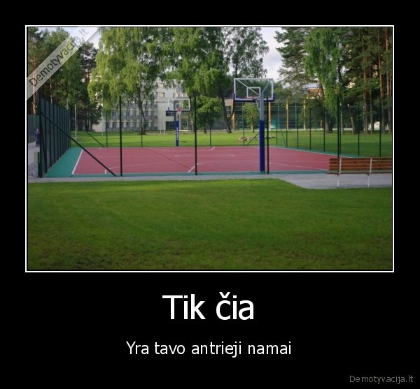 krepsinis,namai,sportas