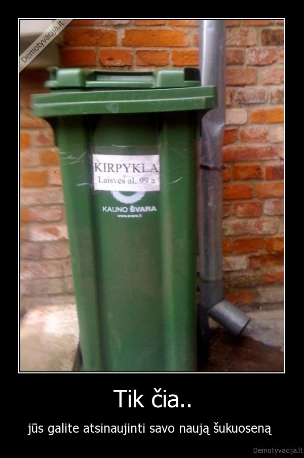 Tik čia..