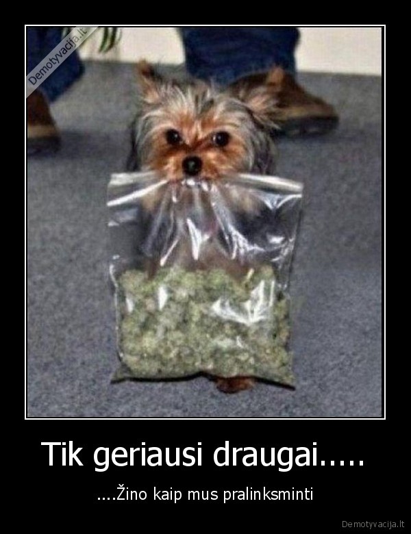 Tik geriausi draugai.....