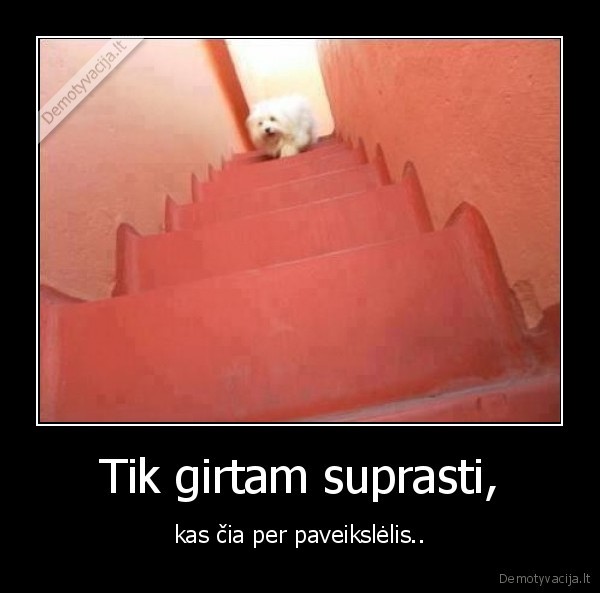 Tik girtam suprasti,