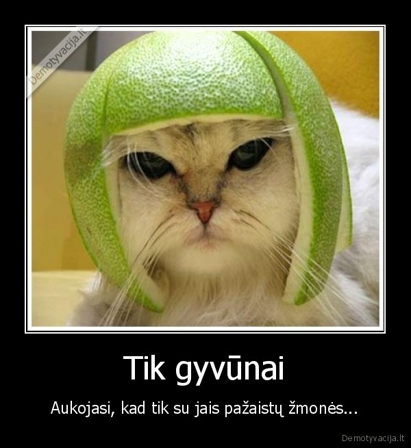 Tik gyvūnai